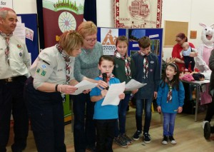 Alva Scout Group pitch